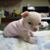 Janet BlairTaylor's profile image
