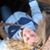 Lesley Sokol's profile image