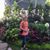 June Grabow's profile image