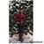 Mayra Arreaga's profile image