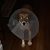 Norm Muelleman's profile image