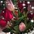 Susan Gini's profile image