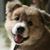 Mary Lampros's profile image