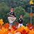 Stacy Pletchen's profile image