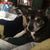Patricia Spencer's profile image