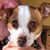 Christian Aviles-Scott's profile image