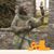 Melinda Taylor Kelly's profile image
