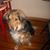 Donna Josipovich's profile image