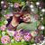 Beverly Burton's profile image