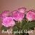 Raquel Perdomo's profile image