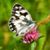 Gail Pawelski's profile image