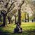 Tala Dayyat's profile image