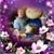 Amy Alvina McClain Lee's profile image