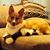 Jeannie Simpkins's profile image