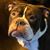 Reuben Bud Kerr's profile image