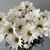 Duvene Purcell's profile image