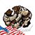 Randy Delauter's profile image