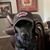 Randall Benzel's profile image