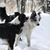 Jeannie Robideau Johnson's profile image