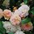 Sarah Lisa Baldwin Rose's profile image