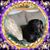 Pam Munyon's profile image