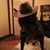 Dan Eichinger's profile image