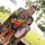 Sativa Rose Luna's profile image