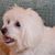Jackie McFarland's profile image