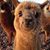 Marsha Wright's profile image