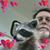 Roy Goodrum's profile image