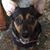 Sandra Willette's profile image