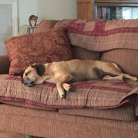 Rich Wright's profile image