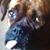 Angela Salmon's profile image
