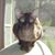 Jackie Connelly's profile image