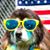 Paul D. Squires's profile image