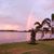 Marcia Webb Bouchard's profile image