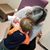 Ruth Boyer's profile image