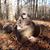 Jake Ehlinger's profile image