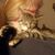 Audrey Lynn's profile image