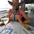 Ana Ortiz's profile image
