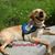 Mary A. Meier Peters's profile image