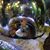 Samantha Price's profile image