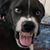 Beau Marshall's profile image