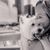 Katie Stitt Barreto's profile image