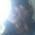 Montana Martin's profile image