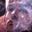 Gilbert Wong's profile image