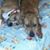 Linda Johnson's profile image