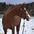 Haydn Morsa's profile image