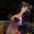 Cheryl Carden Hooks's profile image