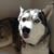 Stefanie Mader Tugeau's profile image